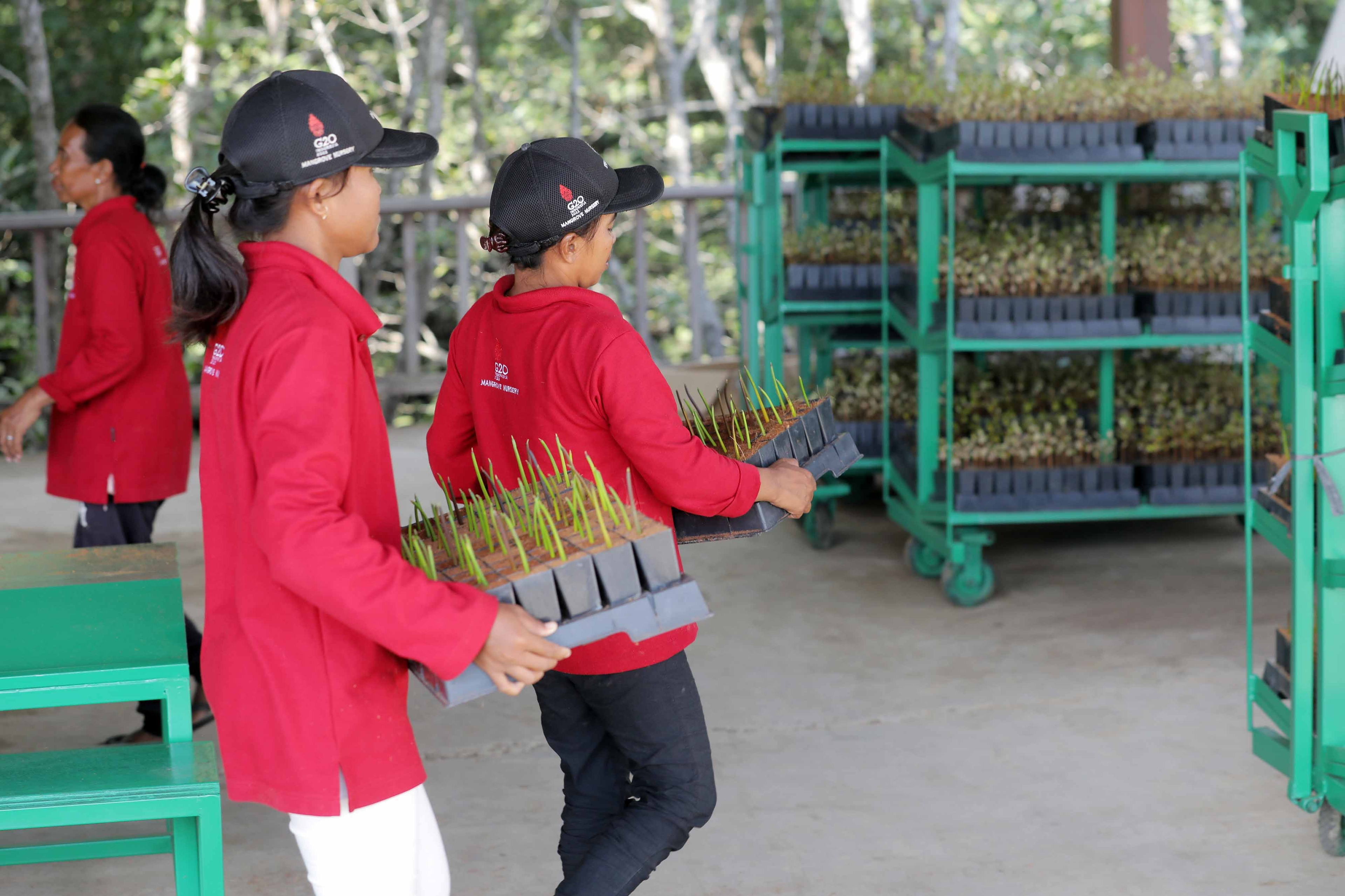 Coba Buat Perencanaan Bersama Bagaimana Caramu Menjaga Alam?