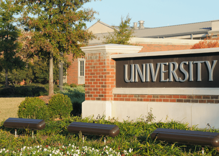 Tak Perlu Galau! Ini Tips Memilih Jurusan Kuliah yang Sesuai Minat dan Bakat