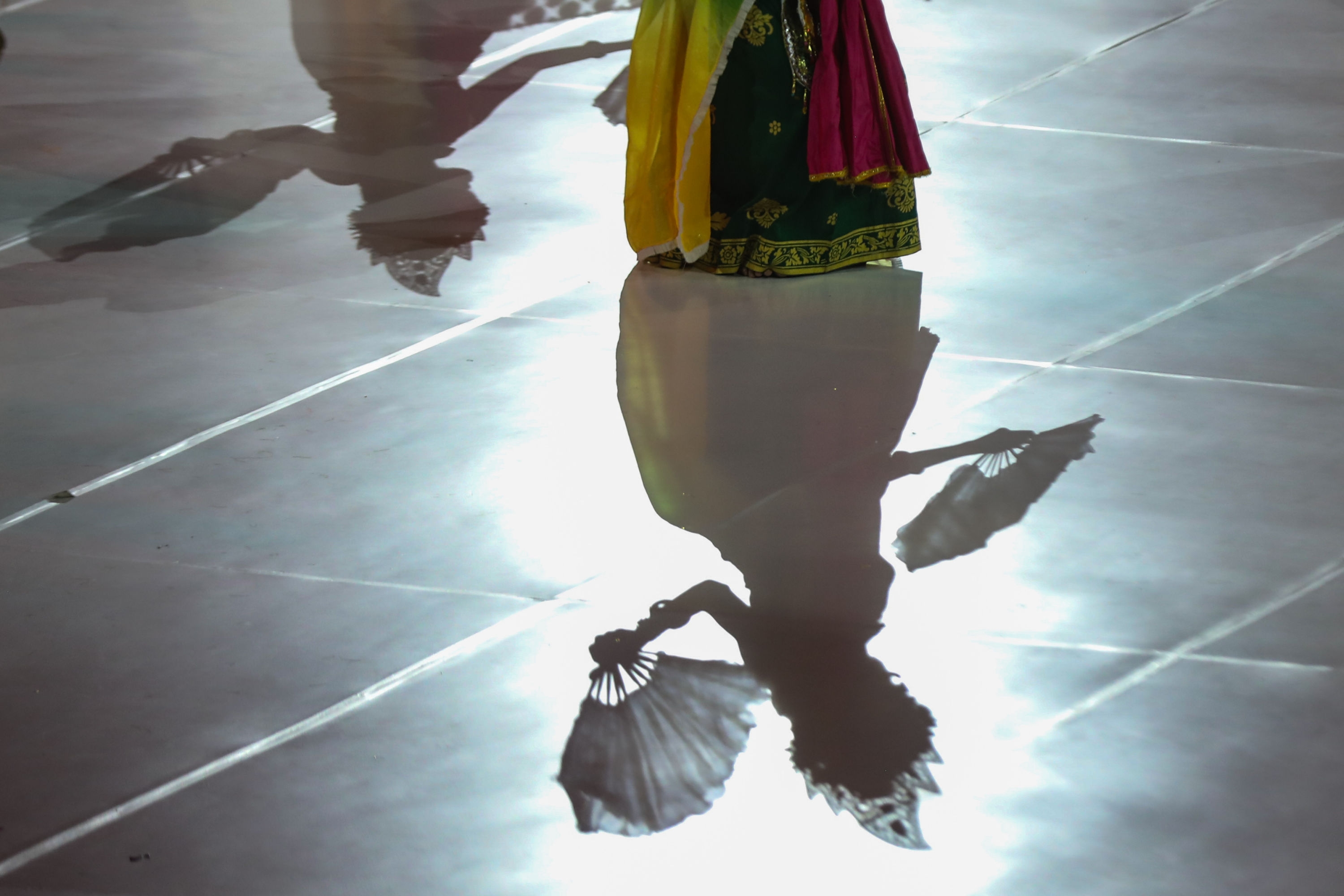 Mengapa Kalian Memiliki Bayangan dan Mengapa Bayangan Tubuh Kalian Dapat Berubah-Ubah?