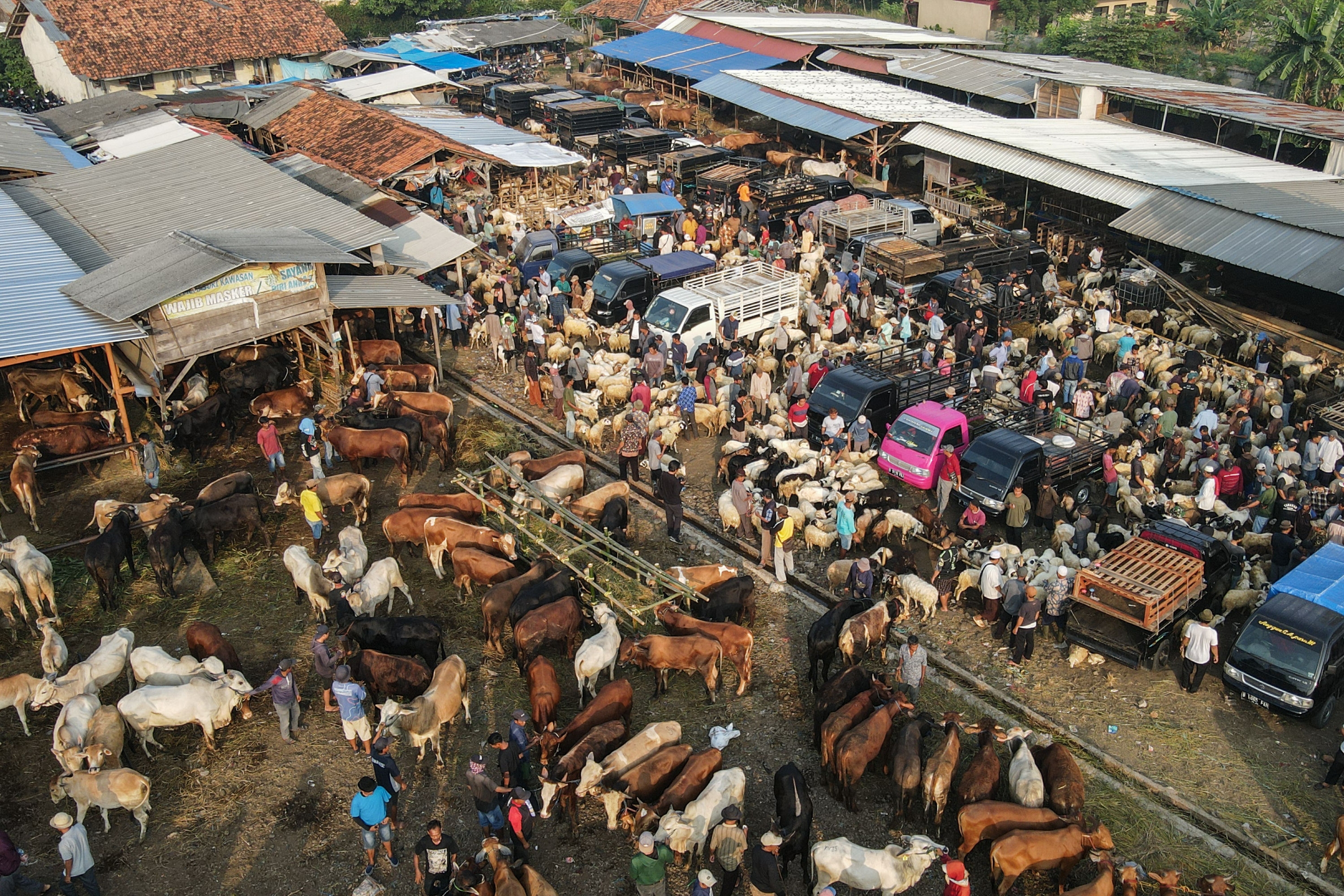 Dinas LH DKI Minta Panitia Kubur Limbah Hewan Kurban