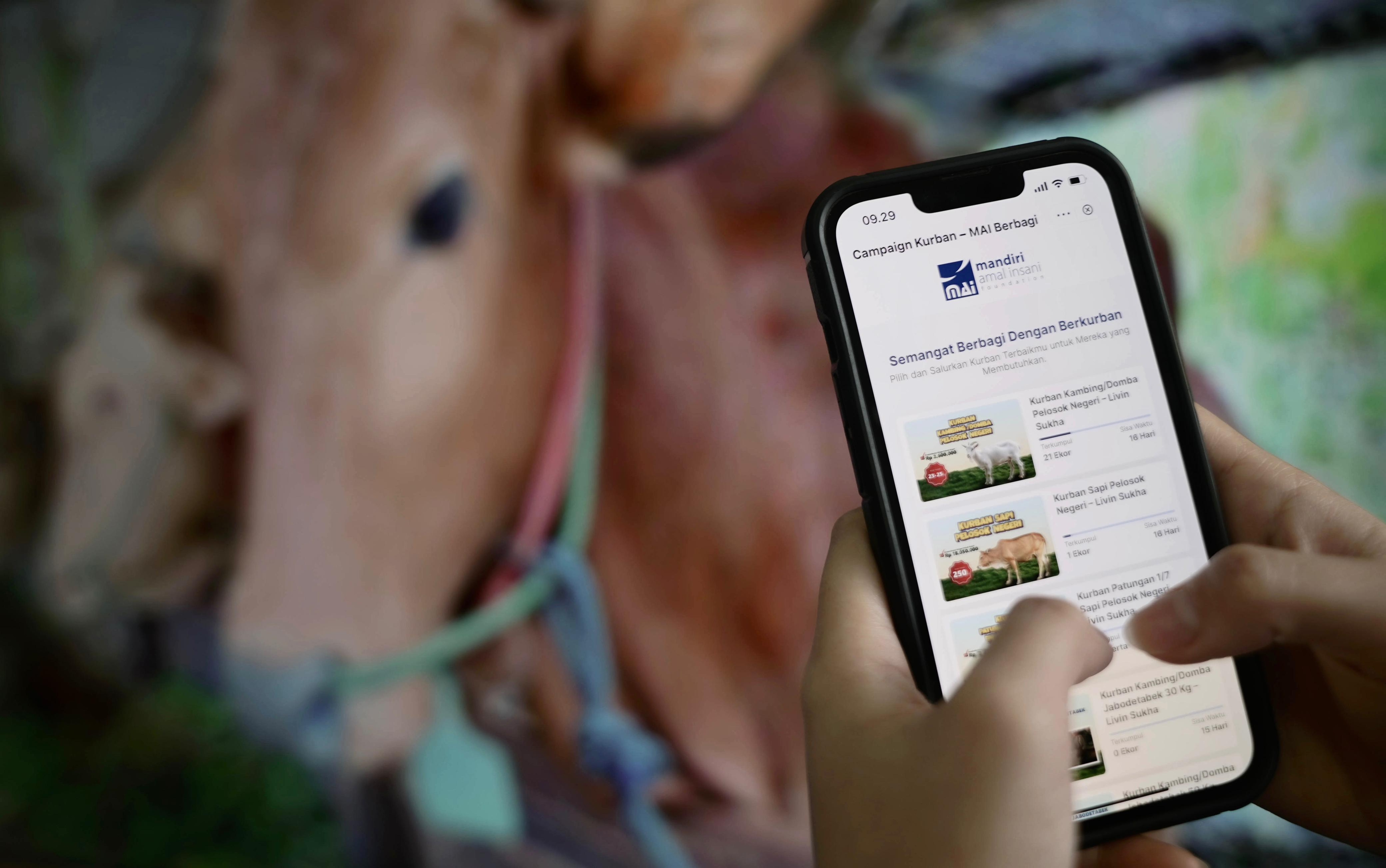 Bolehkah Kurban dengan Uang Hasil Utang?