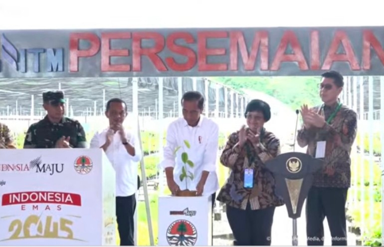 Resmikan Persemaian Mentawai, Jokowi Senang Banyak Bibit Pohon Langka yang Diproduksi