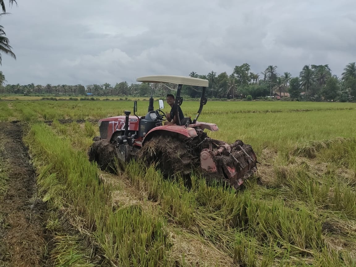 Dari Lahan Rawa Banyuasin, Kementan Tumbuhkan Wirausaha Muda Pertanian