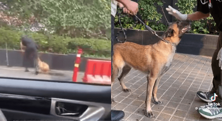Kasus Sekuriti Plaza Indonesia Pukul Anjing K9 Berakhir Damai, Begini Nasib Terbaru Nasarius