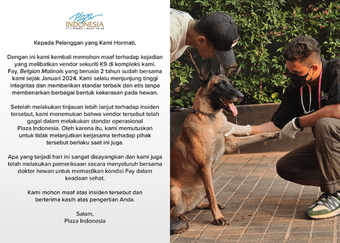 UPDATE Kasus Sekuriti Aniaya Anjing, Plaza Indonesia Akhirnya Putus Kontrak dengan Vendor Sekuriti K9