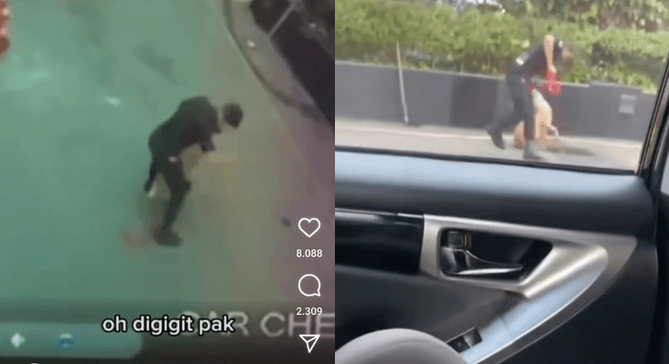 Analisa Video Viral Sekuriti Pukul Anjing Penjaga di Plaza Indonesia, Ada Dua Kejadian Berbeda?