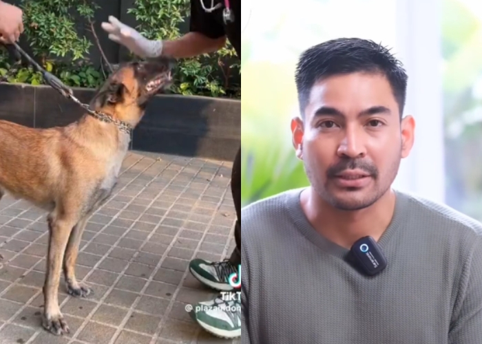 UPDATE Robby Purba Minta Maaf Usai Sekuriti Dipecat karena Video Pukul Anjing Viral, Netizen: Kasih Pekerjaan Baru