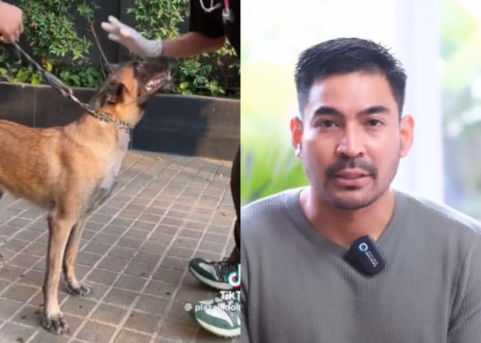 UPDATE Robby Purba Minta Maaf Usai Sekuriti Dipecat karena Video Pukul Anjing Viral, Netizen: Kasih Pekerjaan Baru