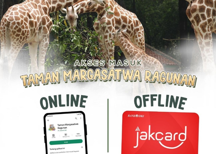 Harga Tiket dan Jam Buka Kebun Binatang Ragunan Selama Cuti Bersama Idul Adha 2024