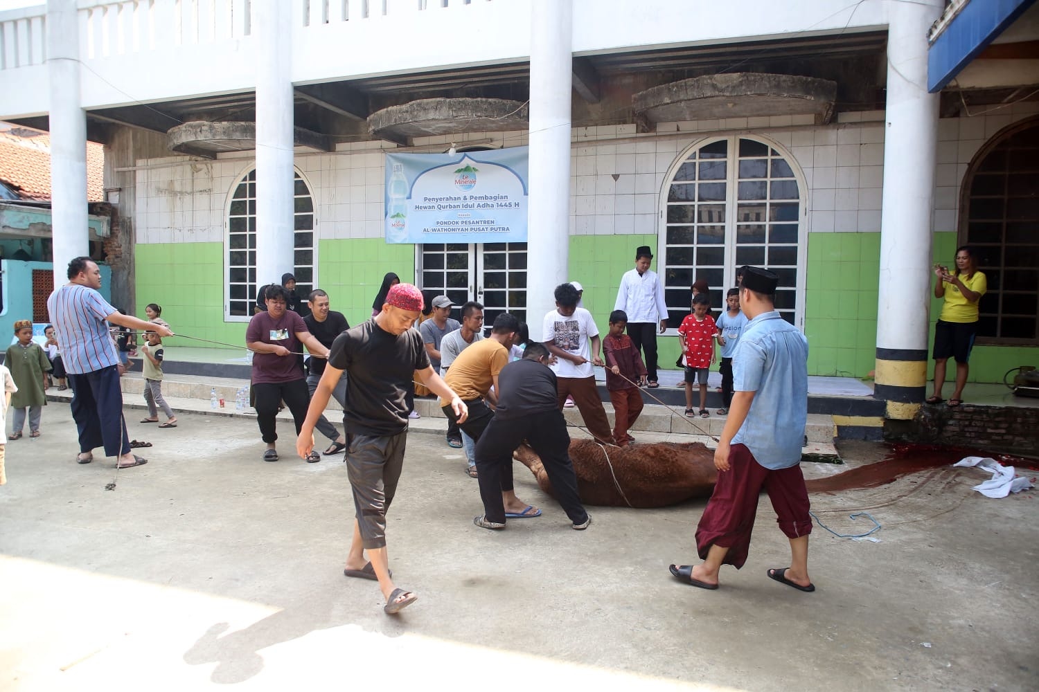 Le Minerale Bagikan Hewan Kurban untuk Pesantren di Jakarta Timur