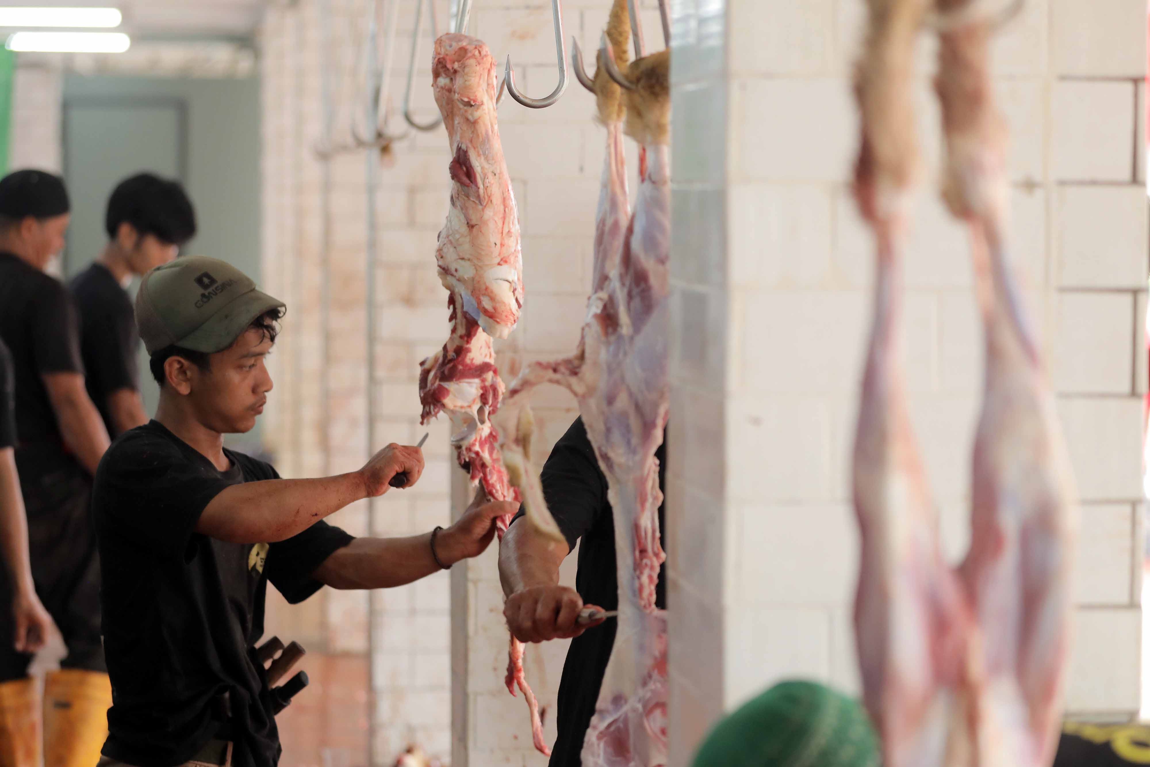 Bagaimana Hukum Menyimpan Daging Kurban Lebih dari 3 Hari?