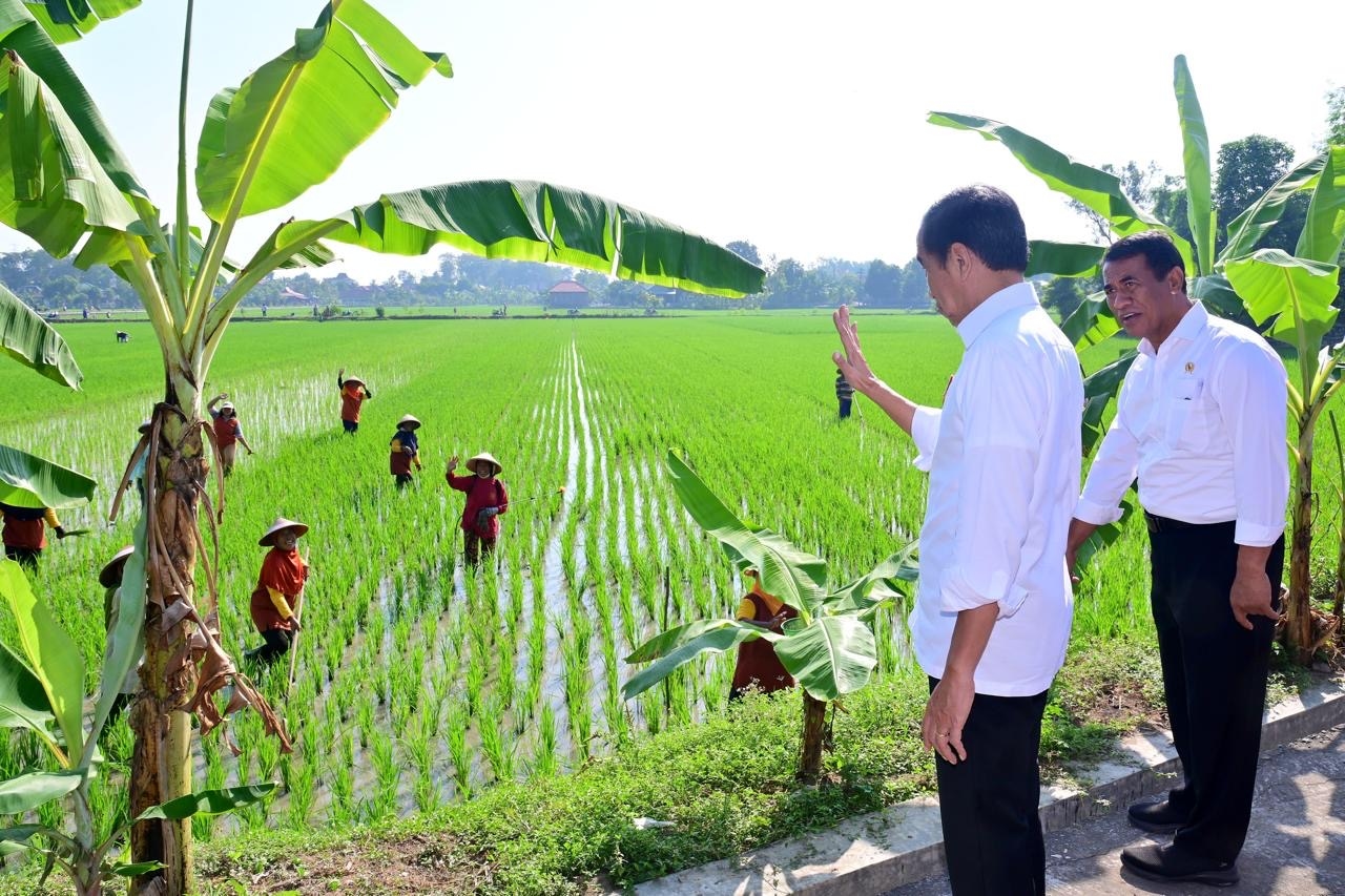 Presiden Jokowi Tinjau Pompanisasi di Jateng, Upaya Antisipasi Kekeringan dan Peningkatan Produksi Pangan