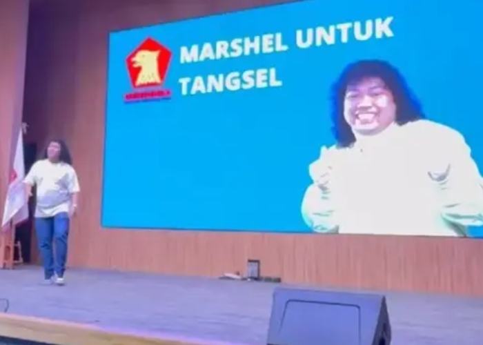 Profil dan Karir Marshel Widianto, Komika Jebolan Stand Up Comedy yang Diusung Gerindra Jadi Wakil Walkot Tangsel
