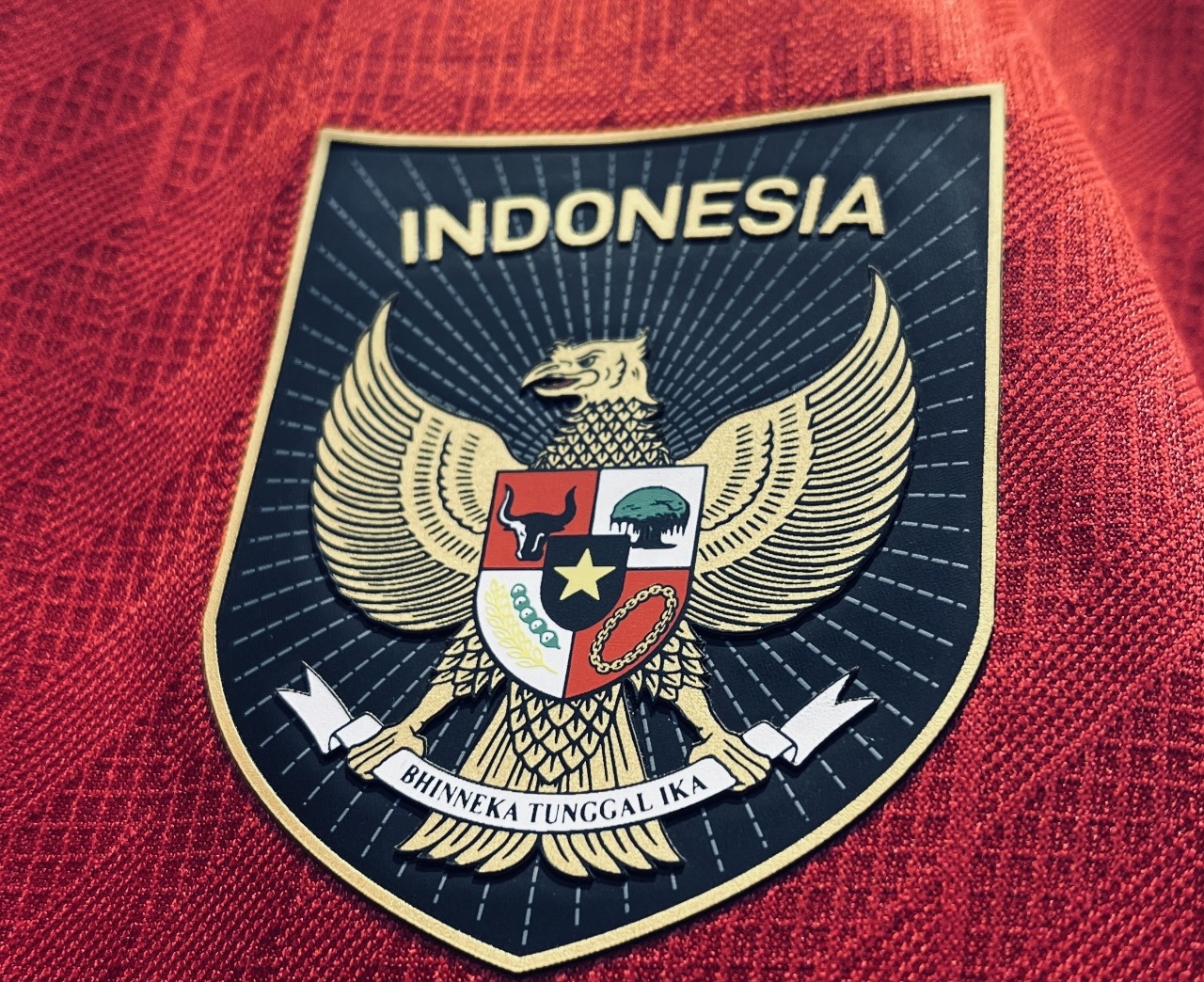 Lambang Garuda Dipatenkan Nama Pribadi, Mills: Harusnya Milik Masyarakat Indonesia