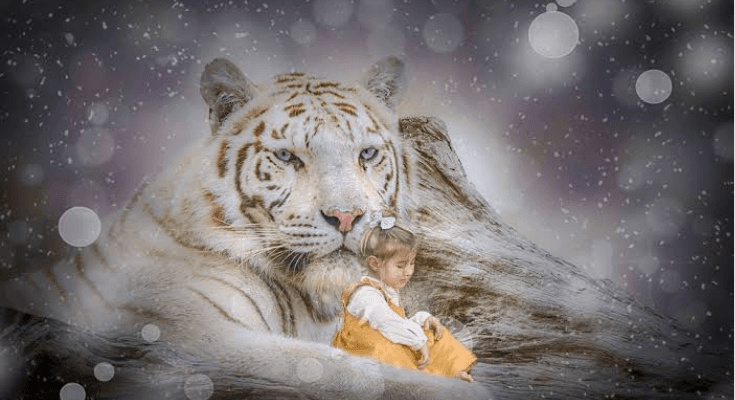 Apa Itu Khodam? Viral di Media Sosial Dijadikan Game untuk Konten Live TikTok