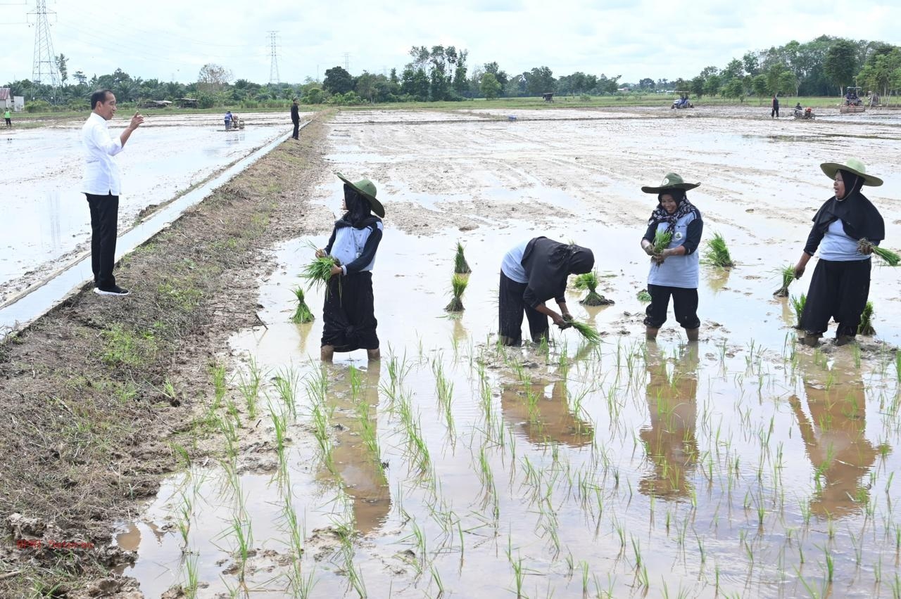 Jokowi: Banyak Negara Pengekspor Beras Kini Dipakai Sendiri Akibat Kekeringan