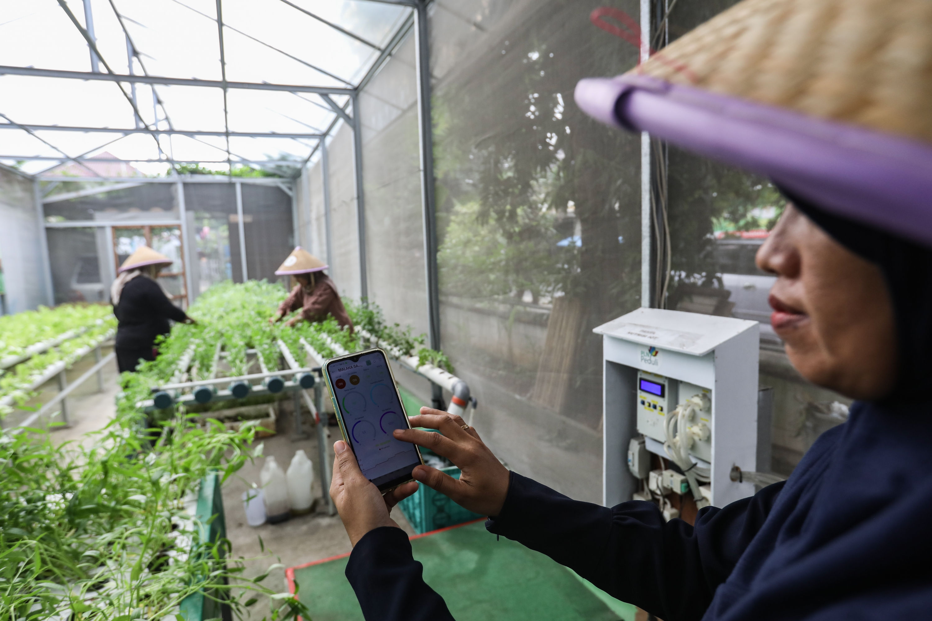 5 Manfaat Hidroponik untuk Tanaman Obat yang Harus Kamu Tahu