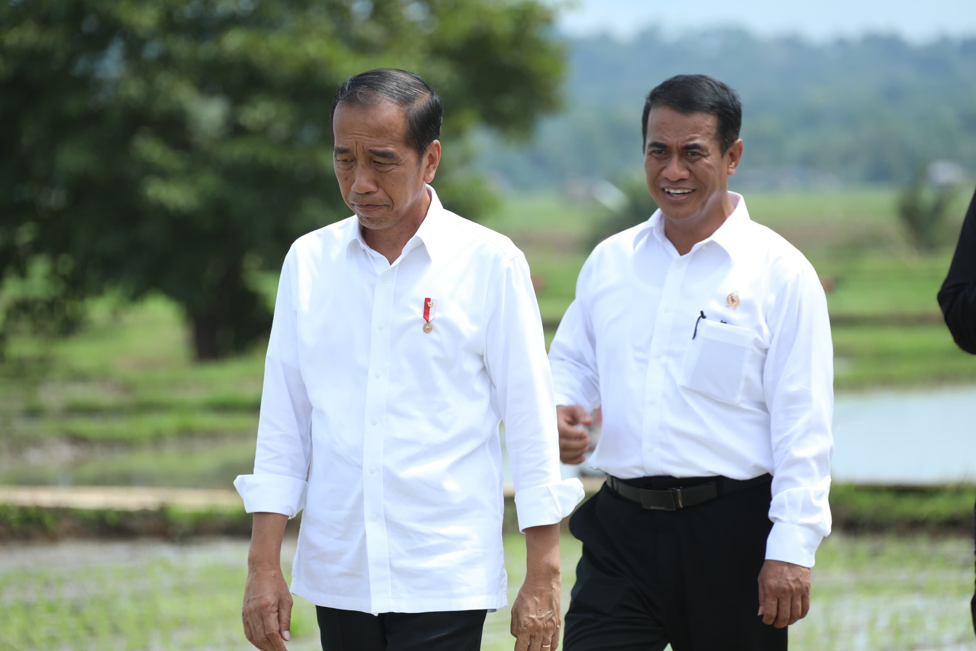 Kunker ke Bone, Petani Sebut Presiden Jokowi dan Mentan Amran Berkah Bagi Kemajuan Pertanian Indonesia