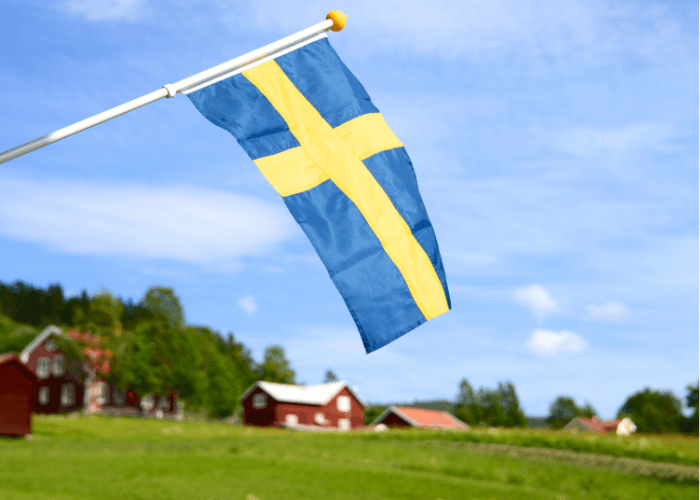 Warga Asing Boleh Beli, Pemerintah Swedia Jual Tanah Seharga Rp1.500 per Meter Persegi, Tertarik?