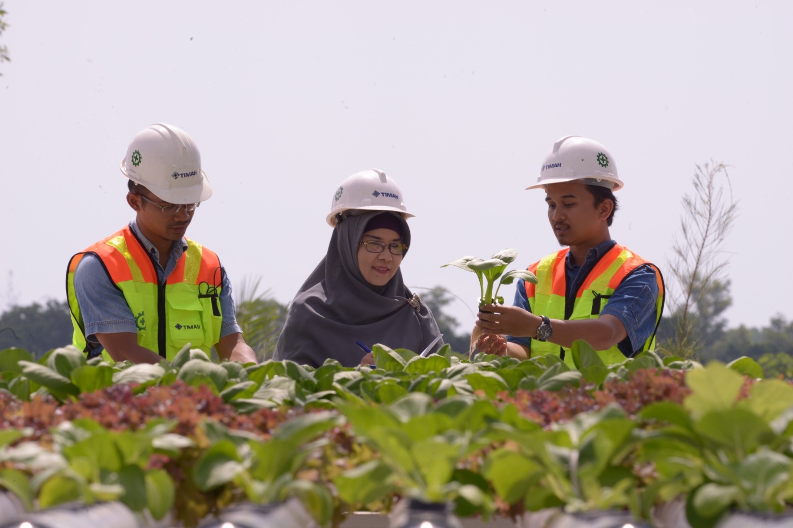 Ini Alasan MIND ID Masuk Daftar Fortune Southeast Asia 500