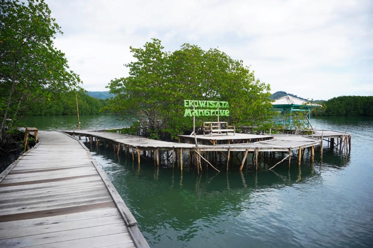 Bagaimana Cara Pohon Dapat Mengurangi Kebisingan?