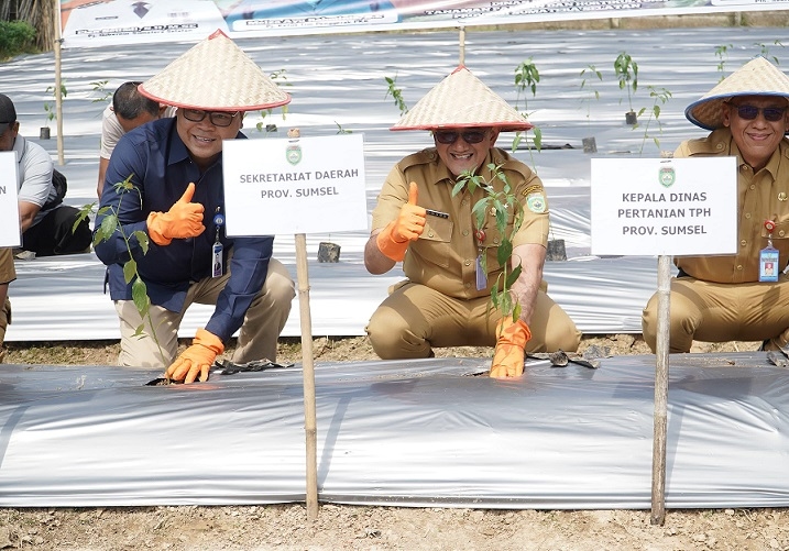 Sumsel Jadi Provinsi Pertama Gelar Seleksi Pra-Kompetisi Konstruksi Indonesia