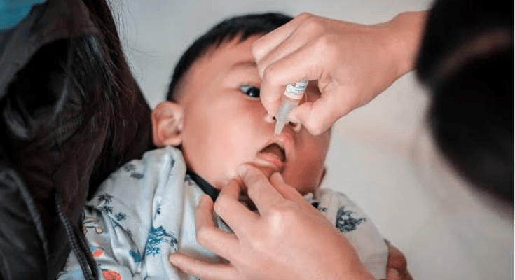 Kapan Jadwal PIN Polio 2024? Ternyata Ini Kriteria Penerima dan Efek Sampingnya untuk Anak