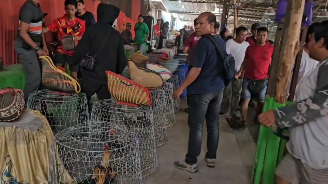 Markas Sabung Ayam yang Digerebek di Bekasi Disulap Jadi Kandang Kuda