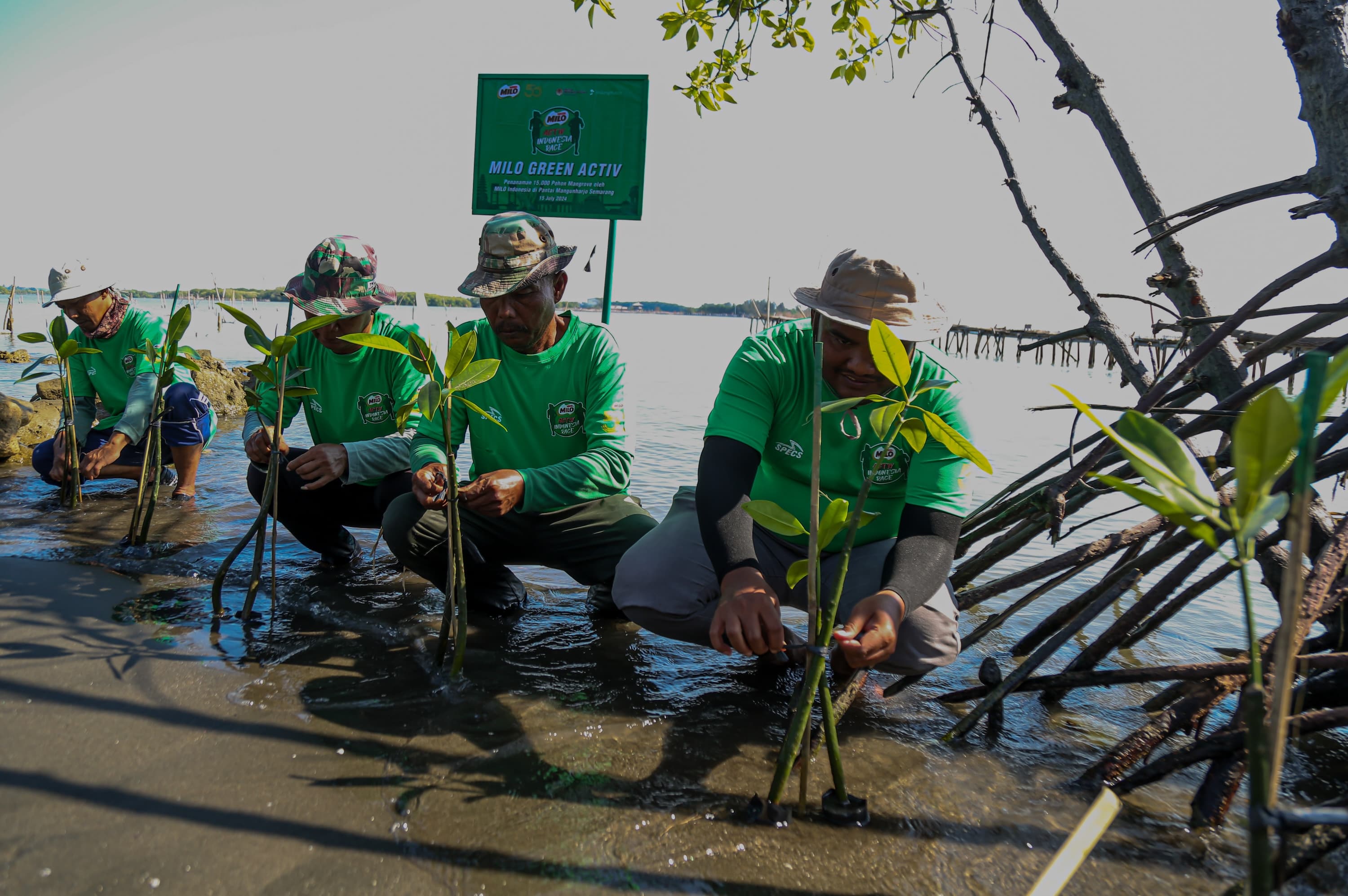 Bagaimana Penyebaran Biji pada Tumbuhan di Dekat Air?