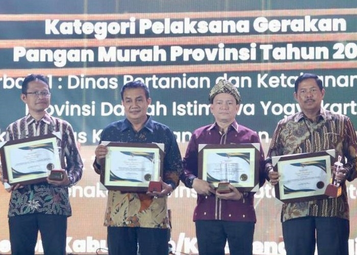 Pj Gubernur Sumsel Elen Setiadi Terima Penghargaan Bapanas Award dari Badan Pangan Nasional