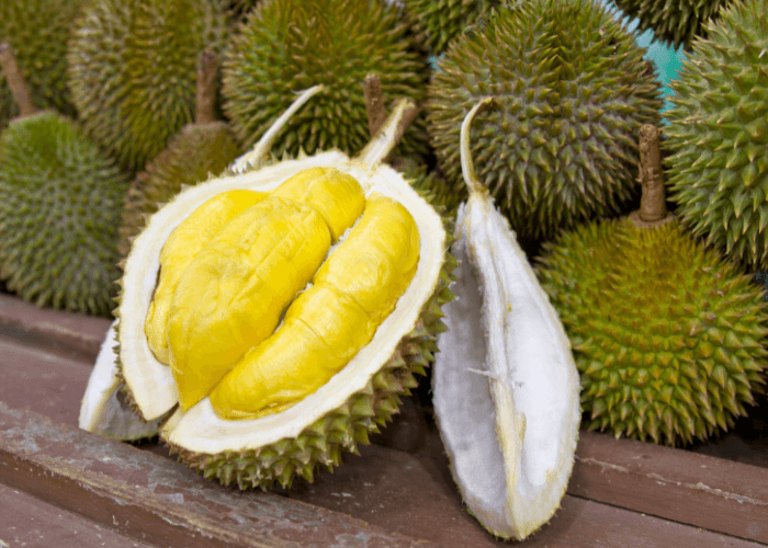 Kadin Gandeng Pemkab Parigi Moutong Buka 100 Ribu Hektare Lahan Pertanian Durian