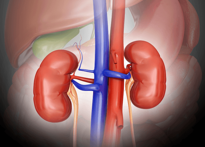 Jangan Anggap Sepele! Ini Cara Menjaga Kesehatan Ginjal