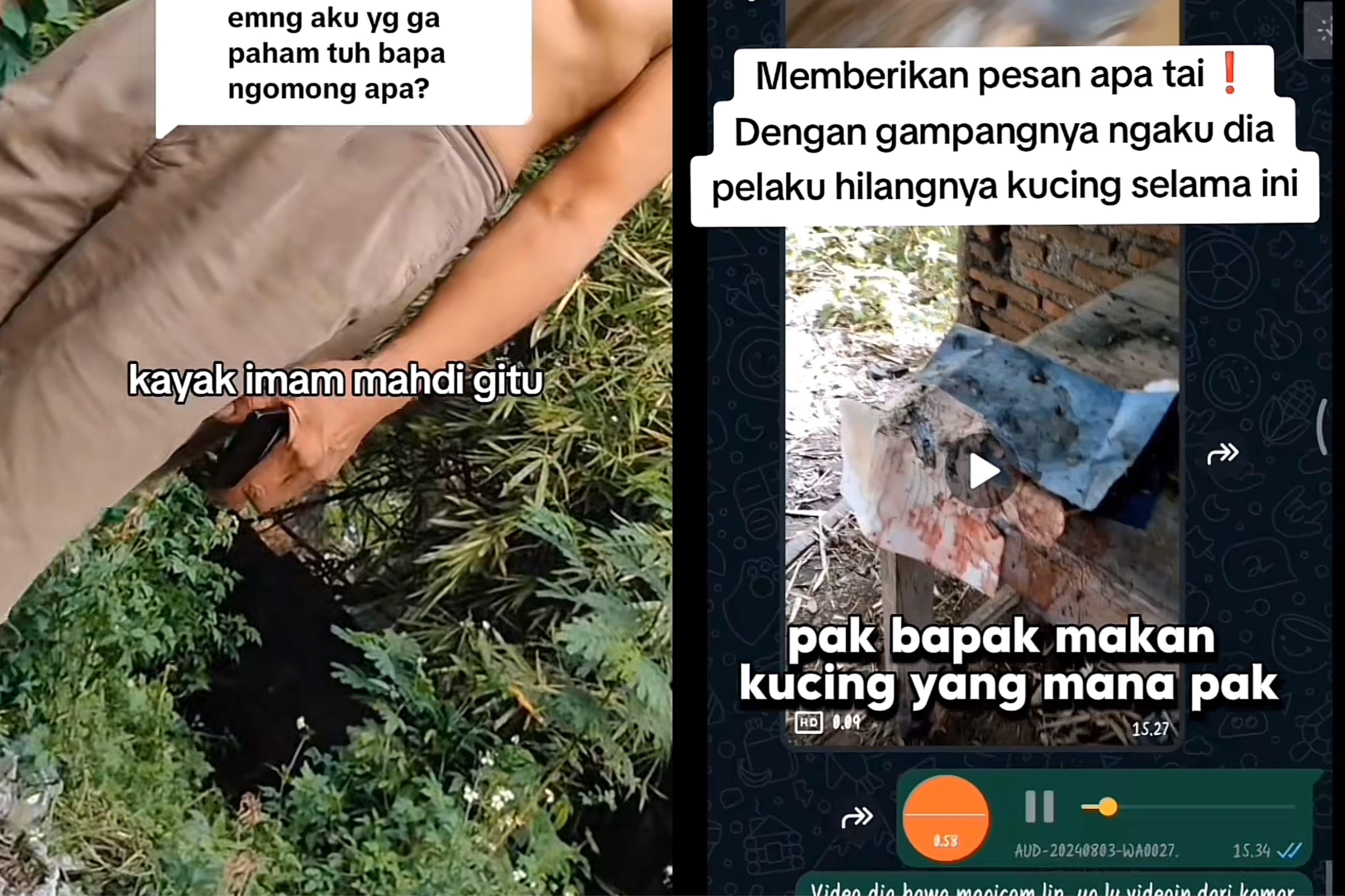 Kronologi Bapak Kos di Semarang Konsumsi Daging Kucing 10 Kali dalam Setahun, Kini Diamankan Polisi