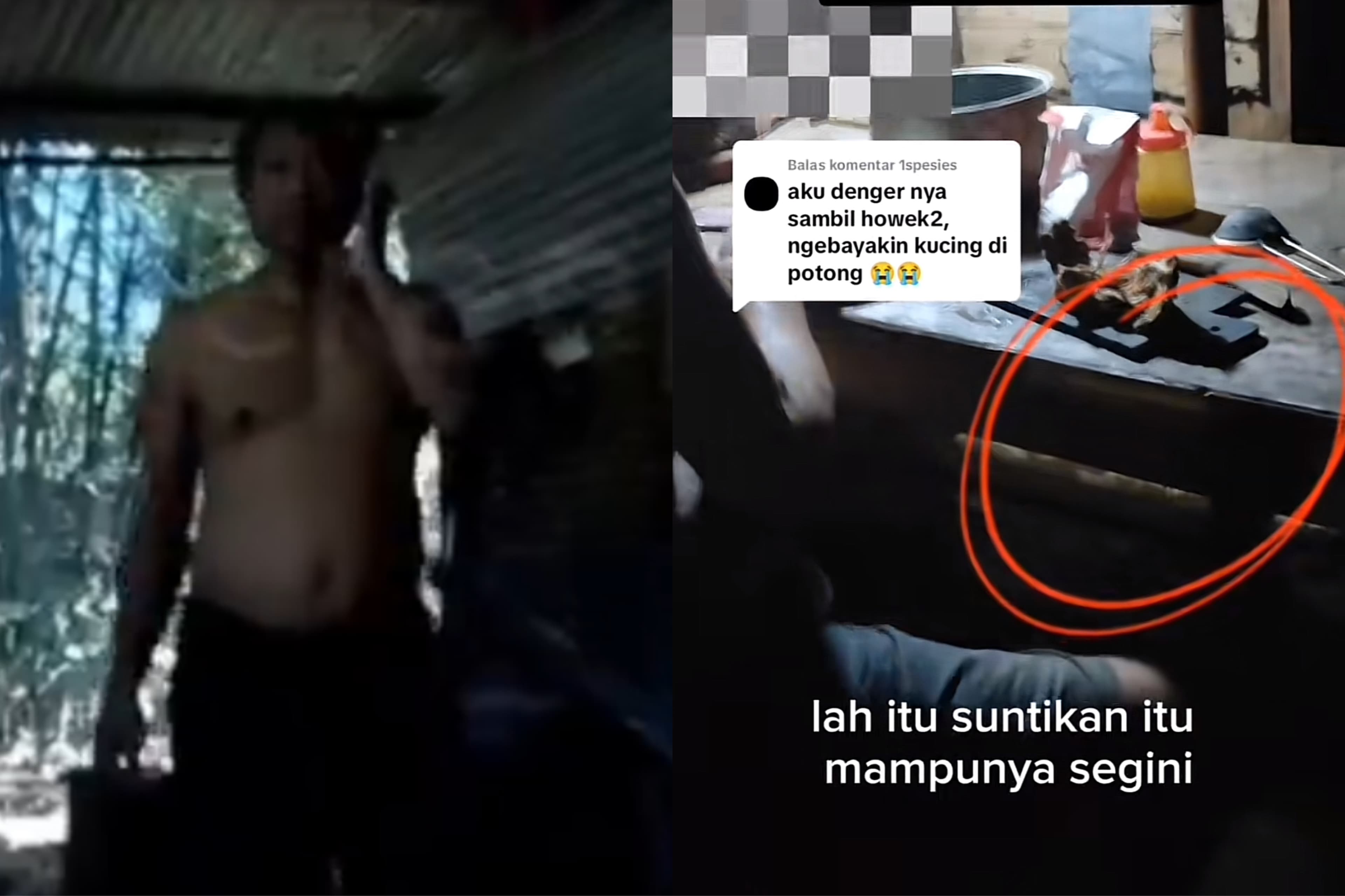 Sosok Nur, Bapak Kos Viral di Semarang yang Konsumsi Daging Kucing Liar dengan Dalih Obati Diabetes