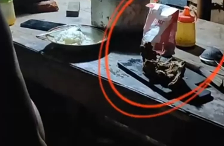 Ramai Bapak Kost Makan Kucing untuk Obati Diabetes, Apakah Boleh menurut Islam?