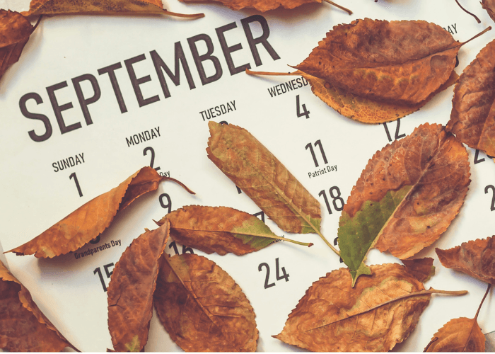 Kalender Libur 2025 yang Termasuk Hari Besar Islam, Berikut Tanggalnya Lengkap!