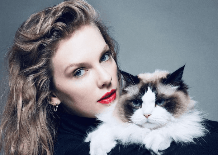 Taylor Swift Dukung Kamala Harris Jadi Presiden Usai Debat dengan Donald Trump