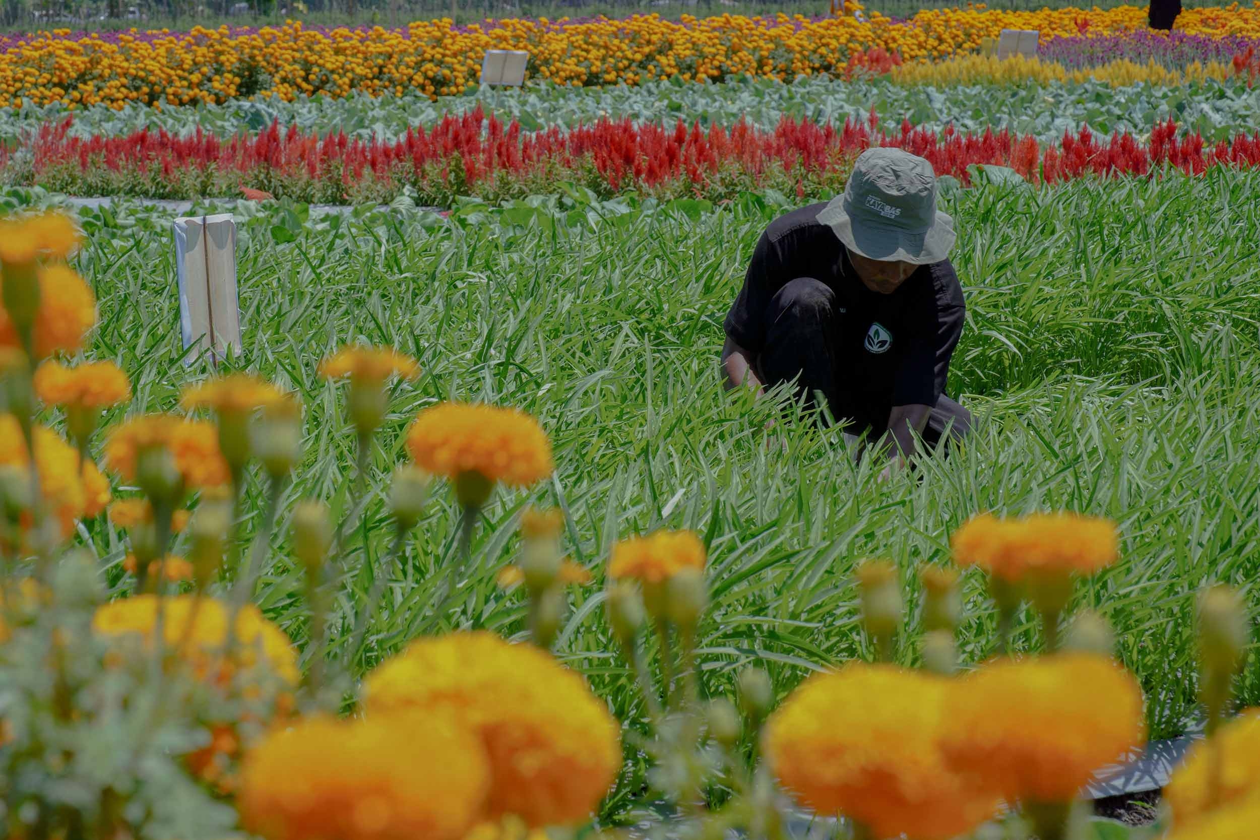 Soal Pemutihan Utang UMKM, Komisi VII: Harus Dikawal