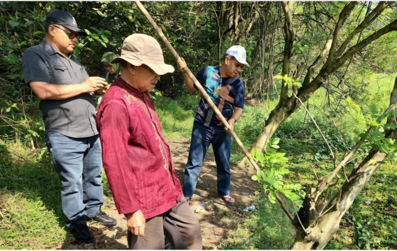Kementan Lakukan Panen Raya Kelompok Tani di Sela Penyelenggaraan Bunex 2024