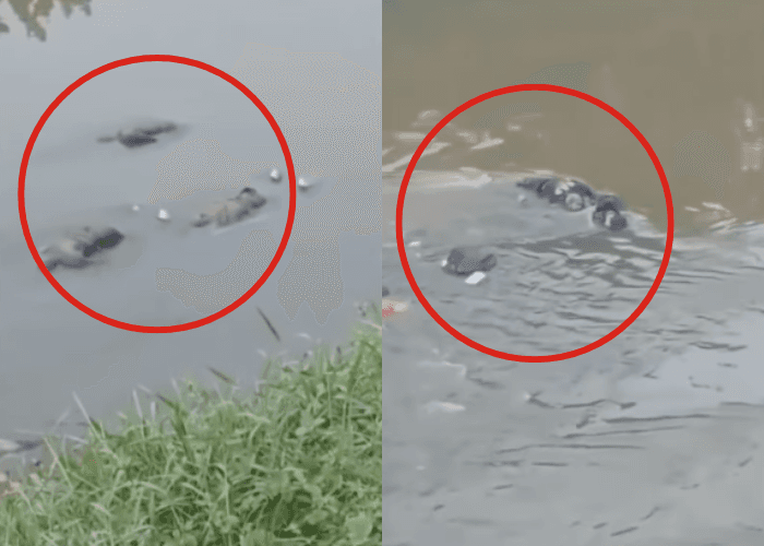 Kompolnas Ungkap Remaja yang Kumpul di Kali Bekasi Ingin Tawuran, Bukan Rayakan Ultah