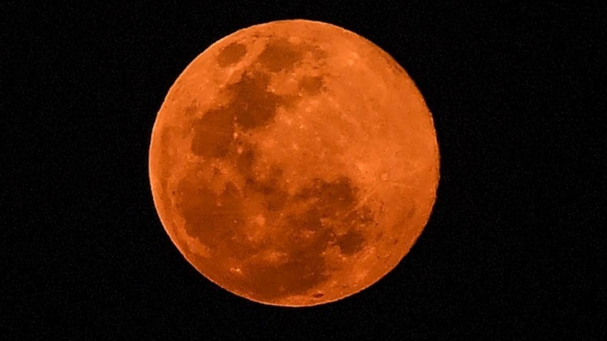 Apa Itu Fenomena Hunter Moon yang Akan Terjadi Malam Ini? Ketahui Waktu Lihatnya di Indonesia