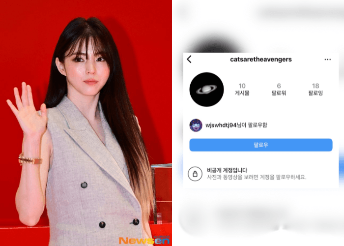 Han So Hee Dituduh Punya Akun Palsu untuk Serang Hyeri, Ini Penjelasan Agensi