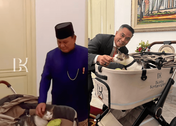 Diami Istana, Berikut 10 Kebijakan Yang Akan Dibuat Bobby Si Kucing Kesayangan Prabowo