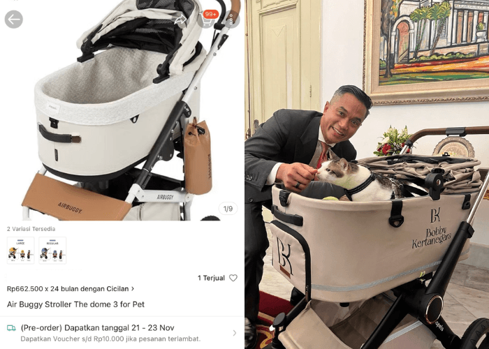 Terungkap! Harga Fantastis Stroller Mewah Milik Bobby Kertanegara
