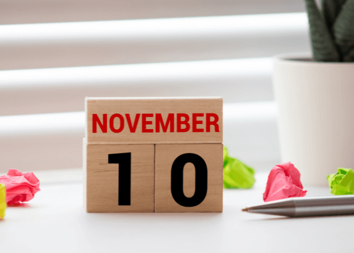 Siswa Libur atau Tidak Pada Hari Pahlawan 10 November 2024? Cek Aturannya di Sini!