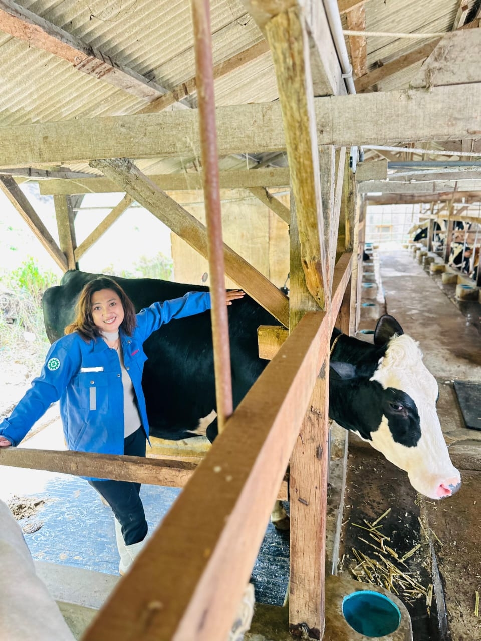 Rumini, Sosok Perempuan yang Rela Tinggalkan Karier di Bank Kini Sukses Jadi Peternak Sapi Perah