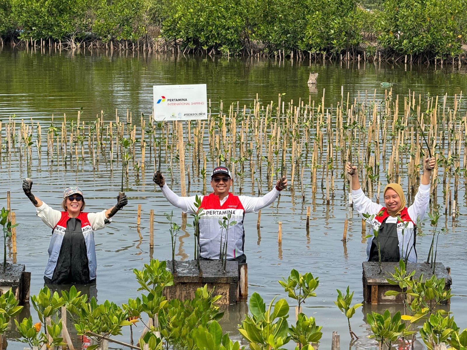Jaga Pesisir Indonesia, Pertamina International Shipping Tanam 10.000 Mangrove