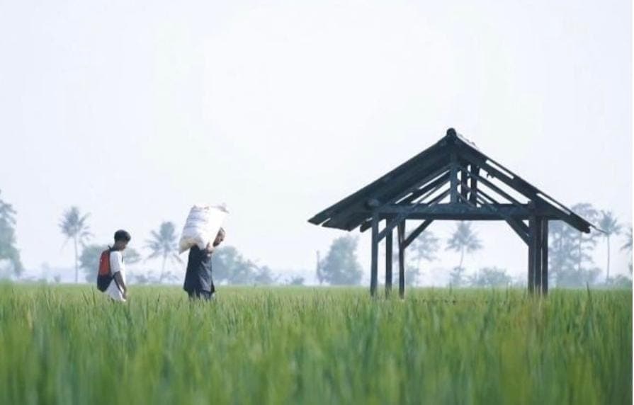 Pemerintah Luncurkan Skema Titik Serah Untuk Benahi Distribusi Pupuk Subsidi