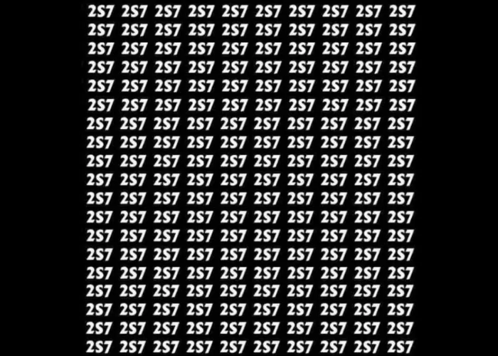Tes IQ Ilusi Optik: Bisakah Anda Menemukan Angka 257 yang Tersembunyi di Antara 2S7 dalam 5 Detik?