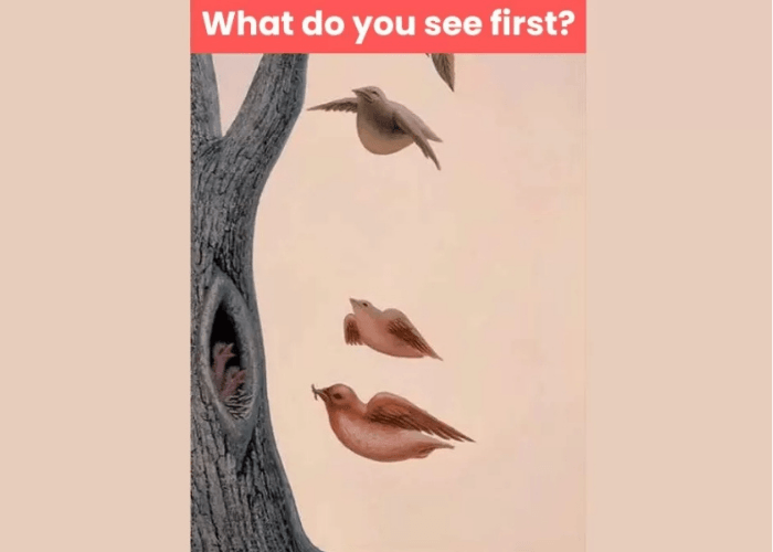 Tes Kepribadian Ilusi Optik: Apa yang Kamu Lihat Pertama Kali? Ungkap Keinginan Terdalam Hidupmu!